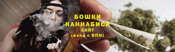 сатива Каменка