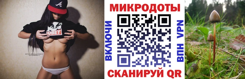 Псилоцибиновые грибы Cubensis  Югорск 