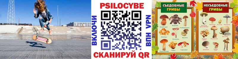 Псилоцибиновые грибы прущие грибы Югорск